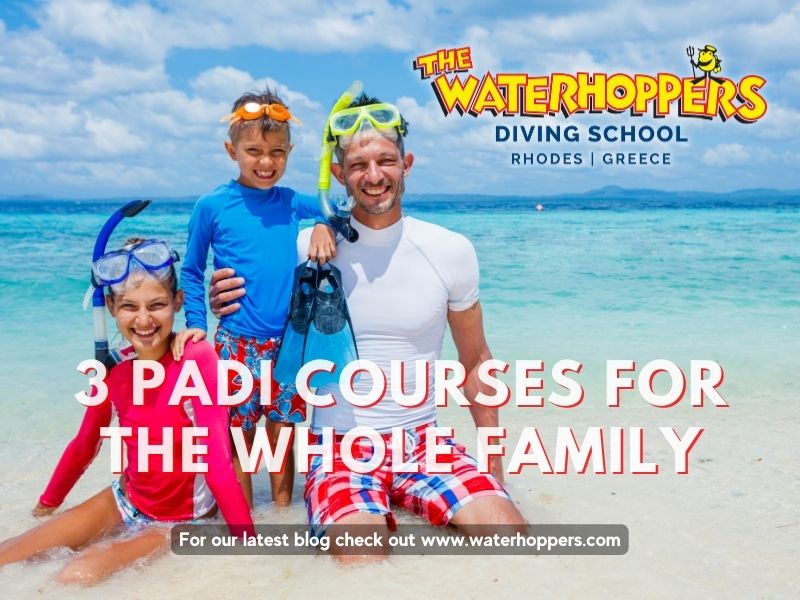 3 PADI Courses for the Whole Family